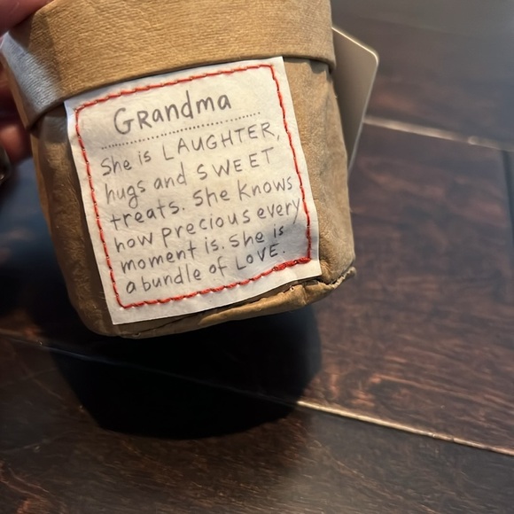 Grandma faux succulent plant - Picture 2 of 7